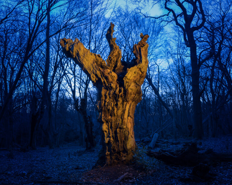 ATLAS by Grete Hjorth-Johansen