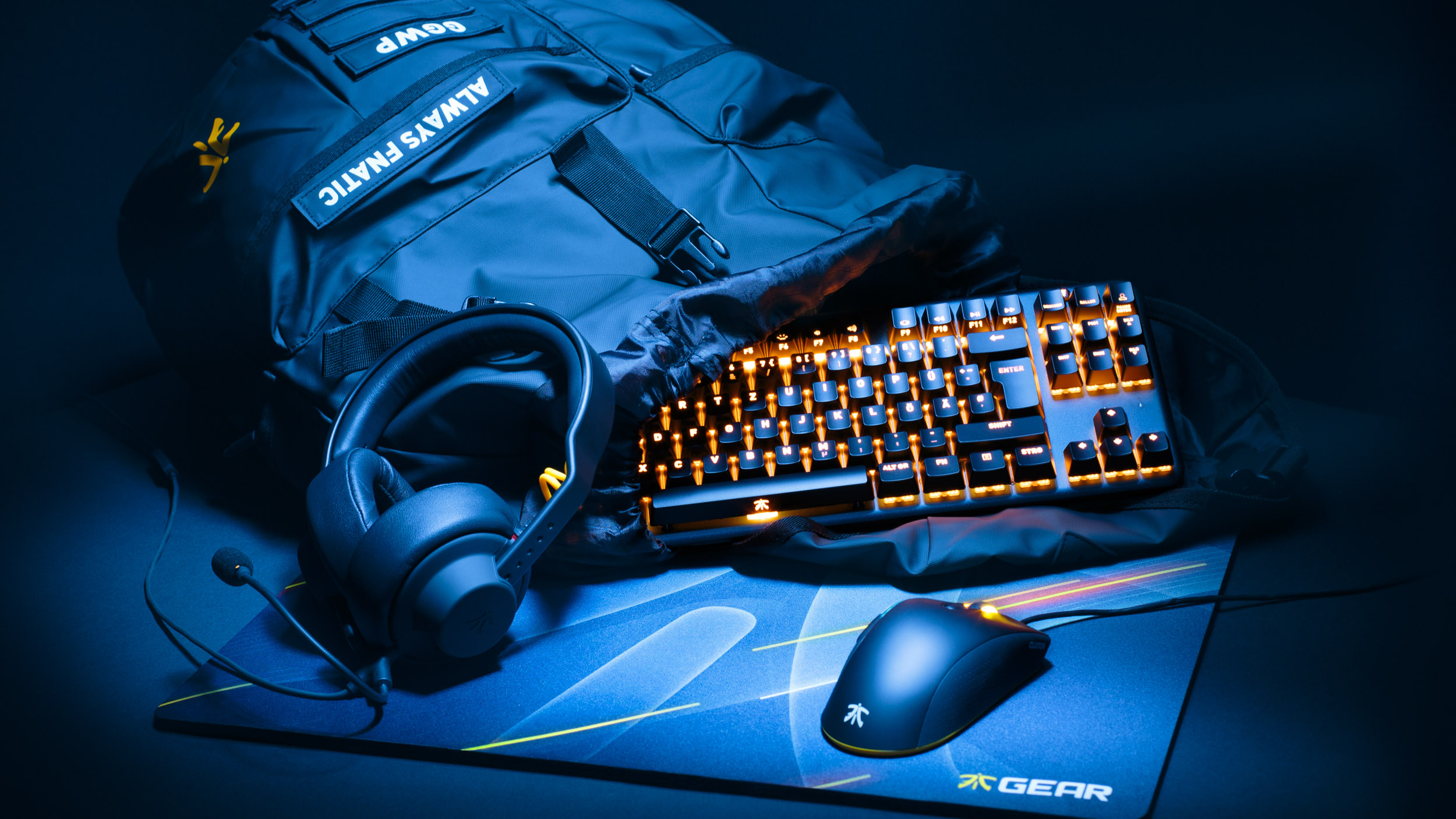 GHJ-20190219-fnatic-7231-SS