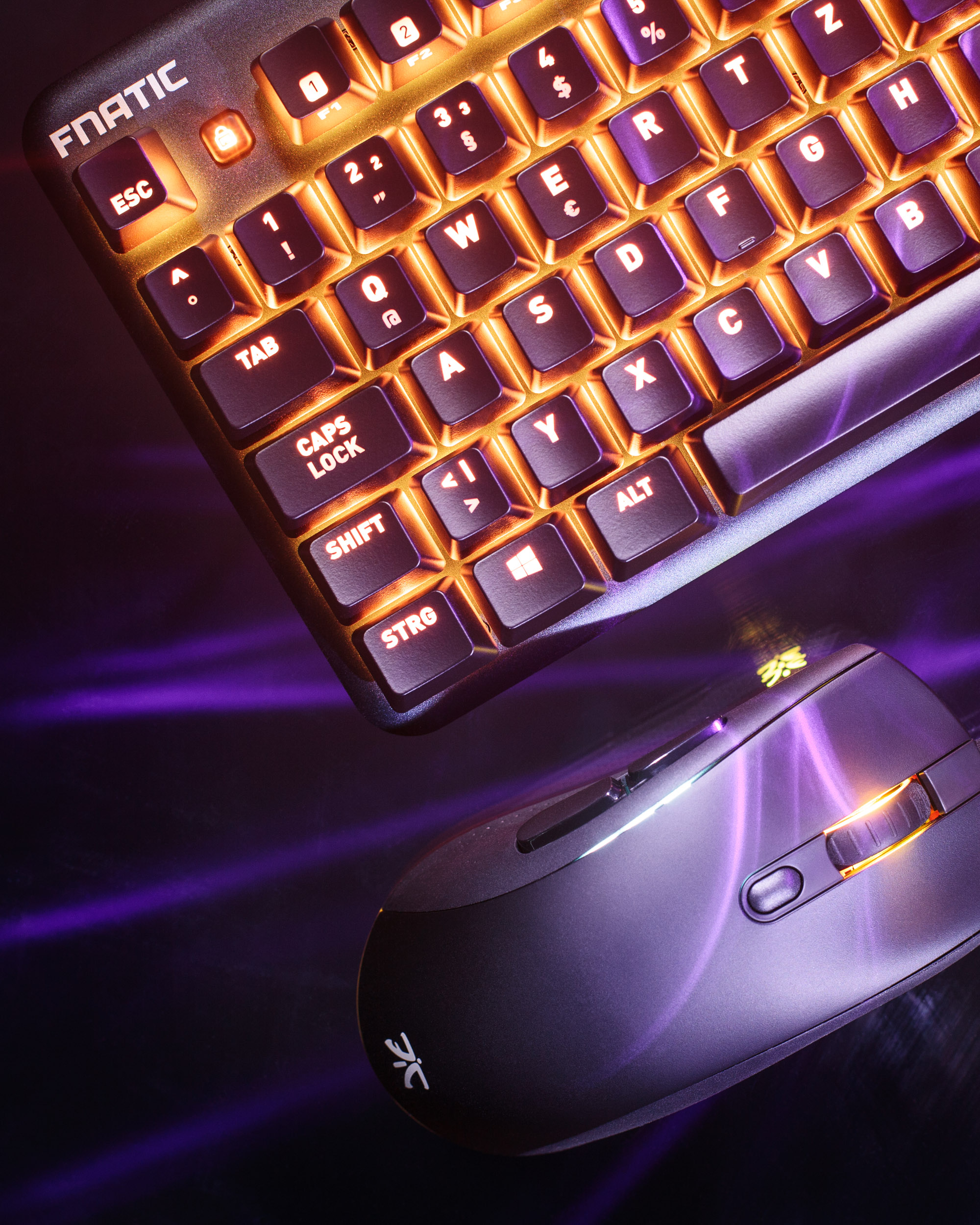 GHJ-20190222-fnatic-7273-SS