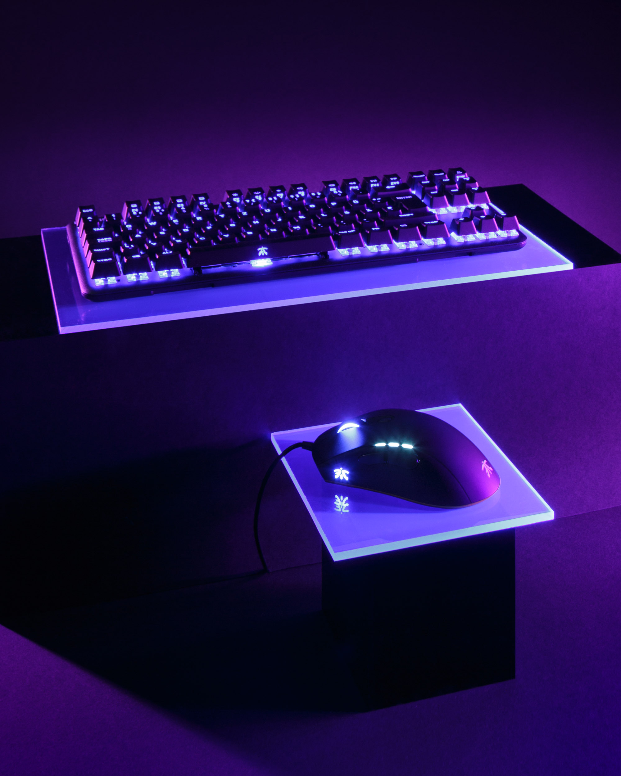 GHJ-20190703-fnatic-9716-45-SS