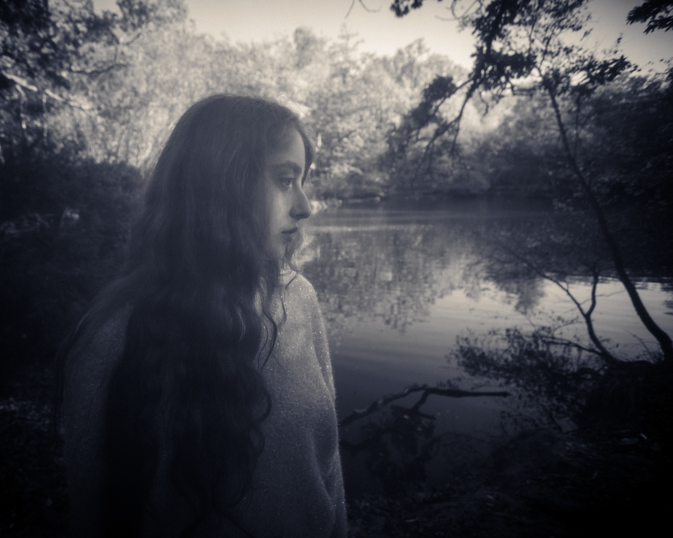 DREAM FOREST 01 - Grete Hjorth-Johansen