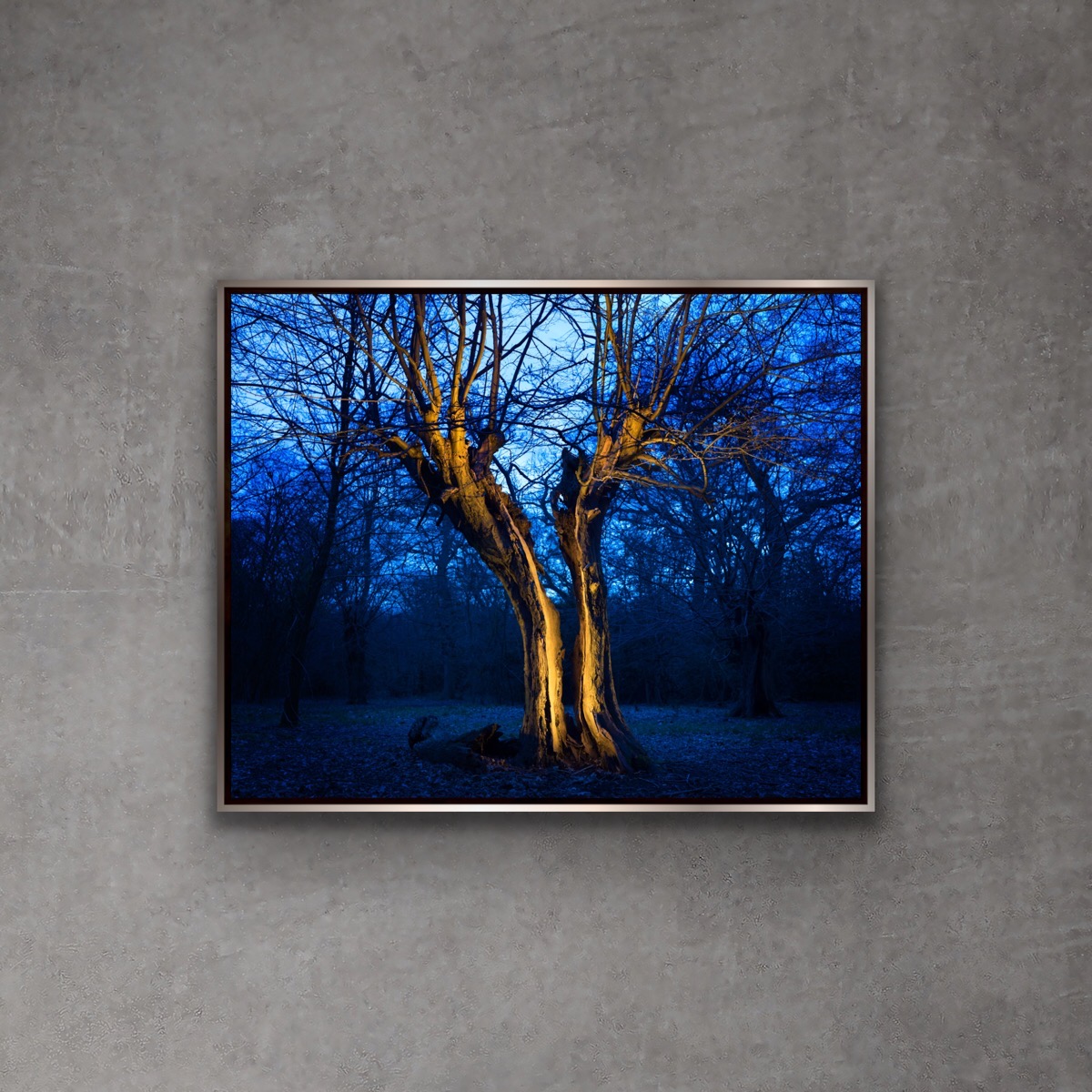 IXION, on a concrete wall