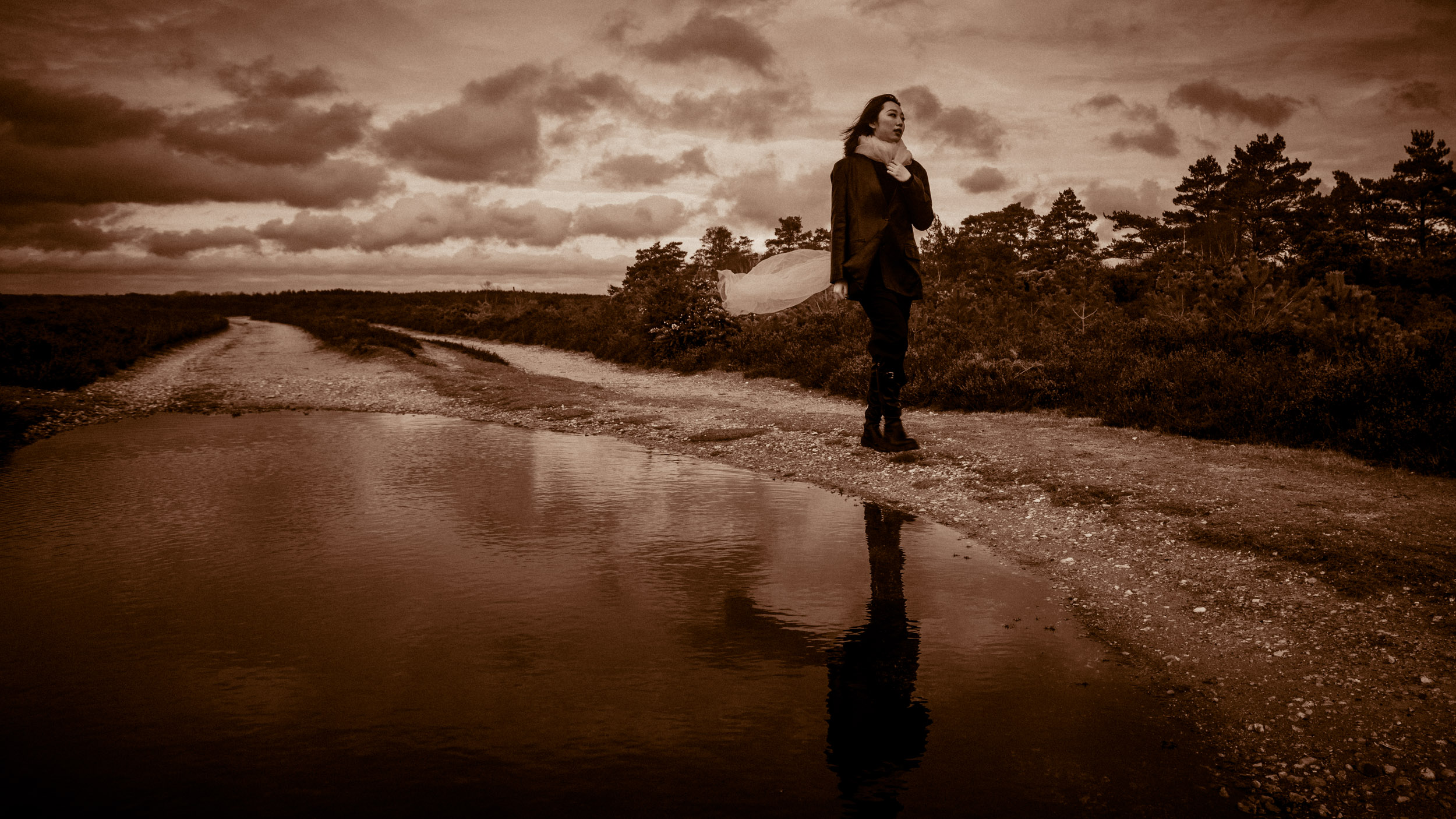 WINDSWEPT IN THE GORSE 04 - Grete Hjorth-Johansen