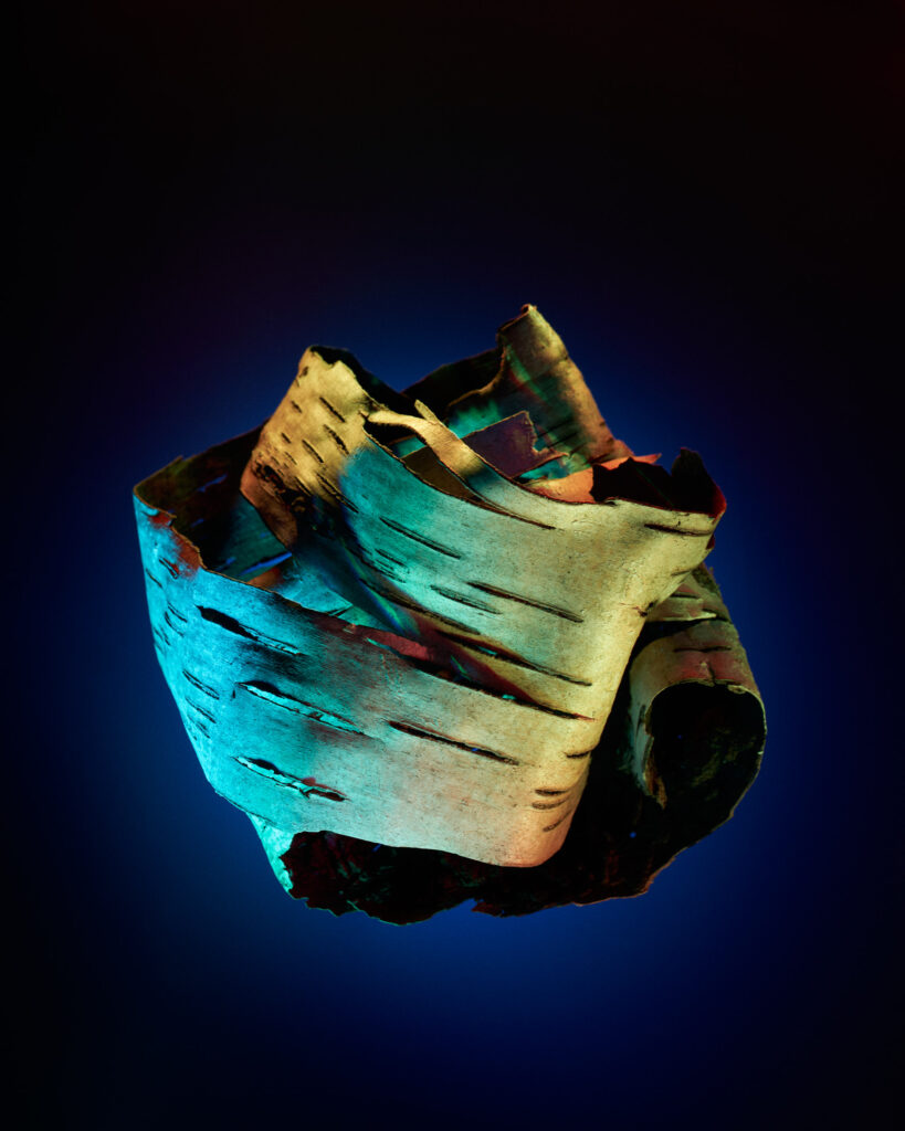 NEVER by Grete Hjorth-Johansen