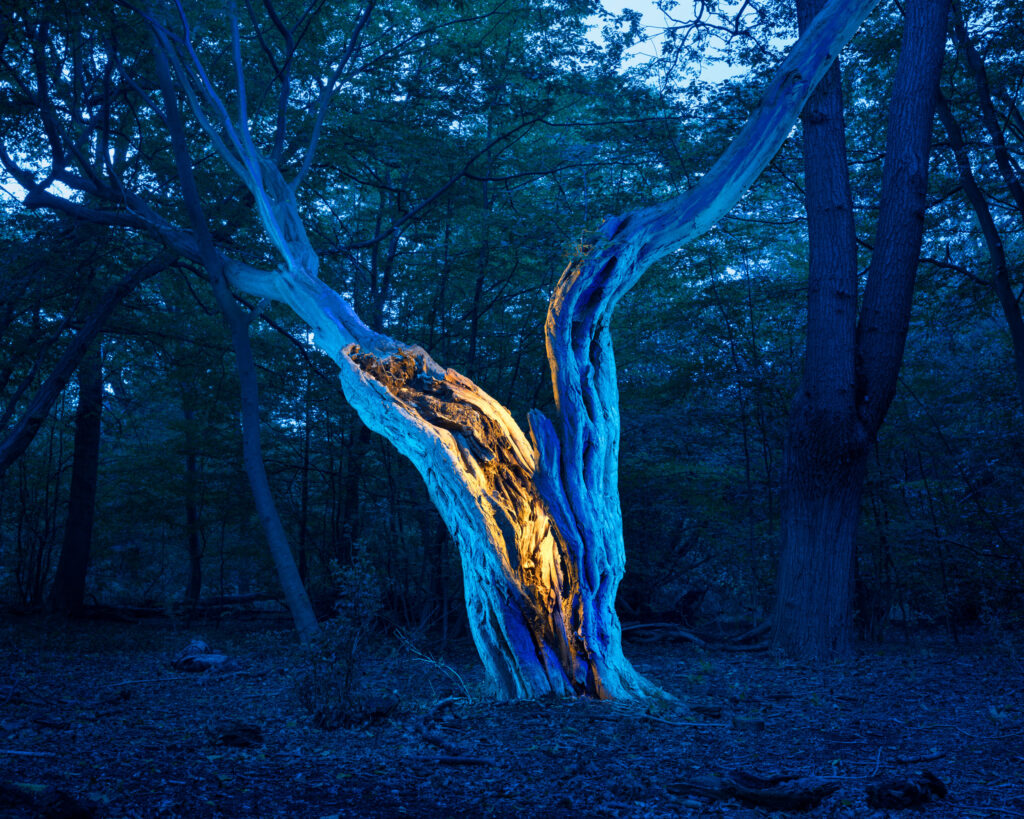 PHOEBE by Grete Hjorth-Johansen