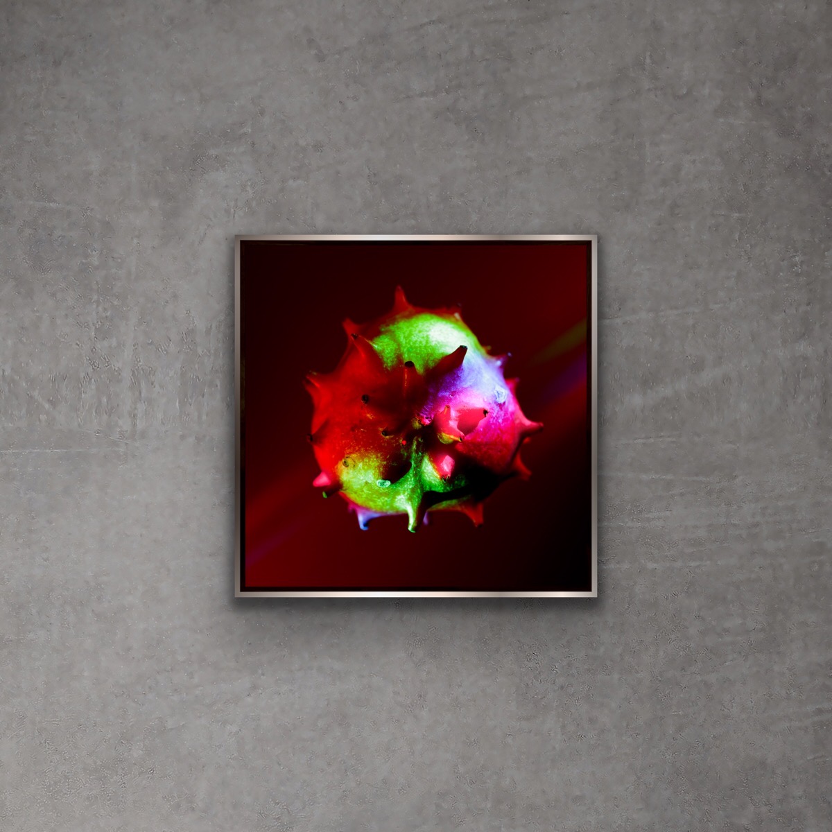 SCURBOGA by Grete Hjorth-Johansen, on a concrete wall