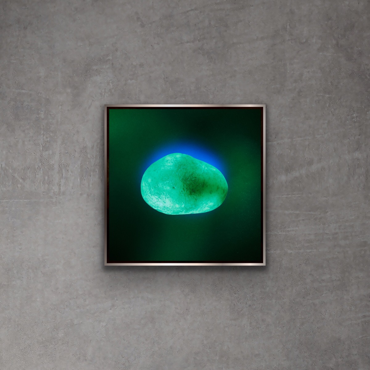 VESTA by Grete Hjorth-Johansen, on a concrete wall