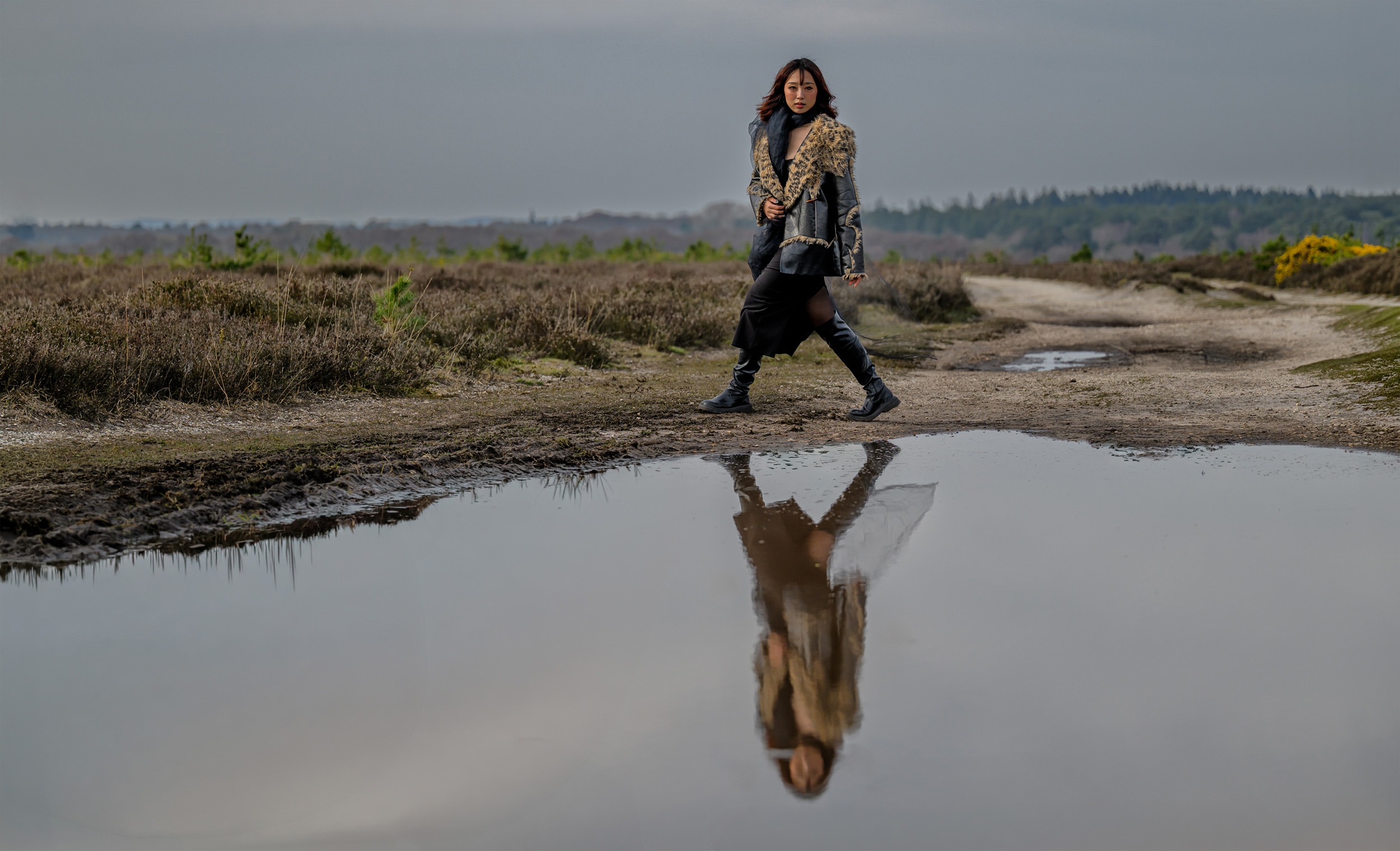 WINDSWEPT IN THE GORSE 01 - Ken Cameron