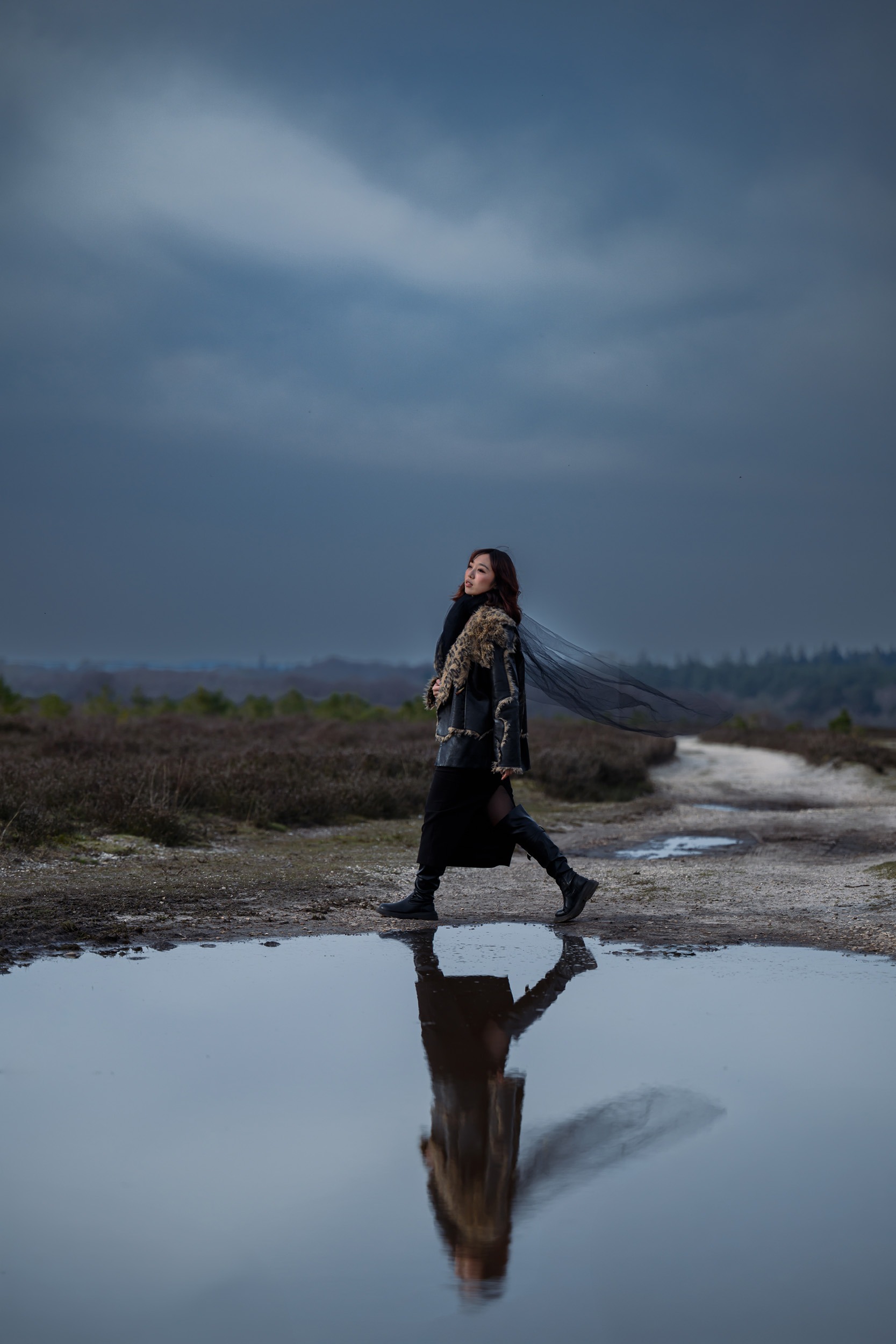 WINDSWEPT IN THE GORSE 02 - Ken Cameron