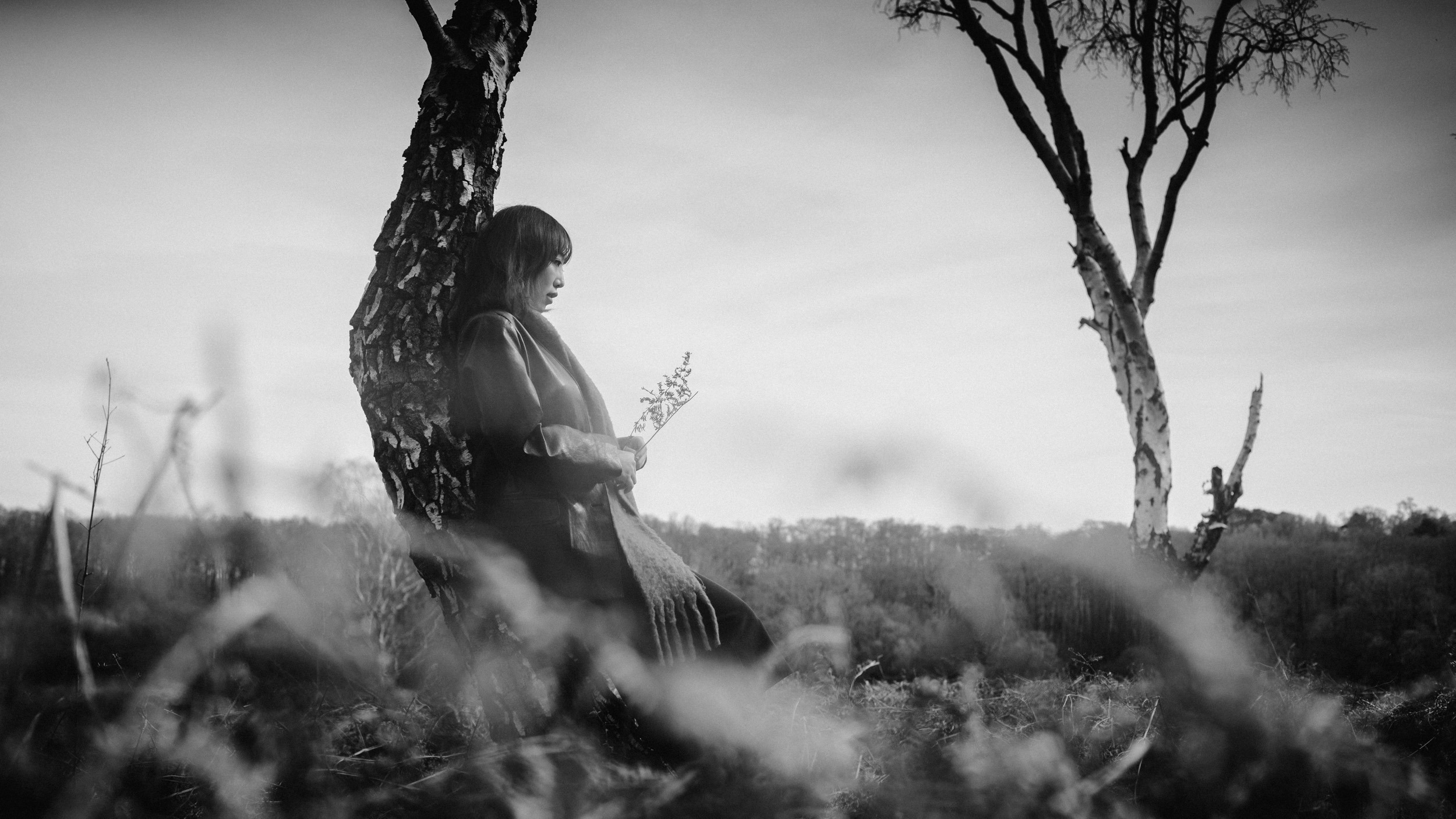 WINDSWEPT IN THE GORSE