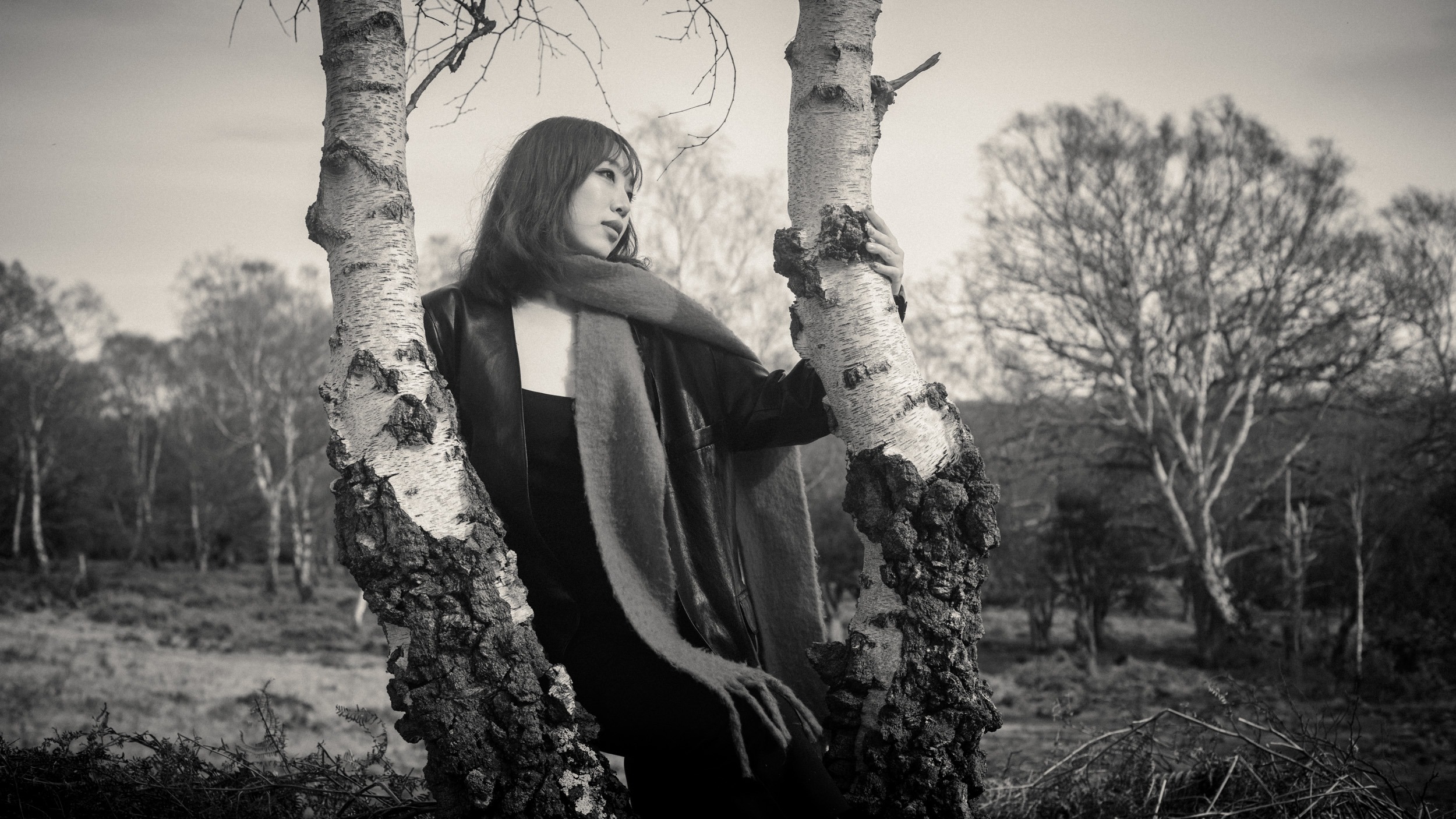 WINDSWEPT IN THE GORSE