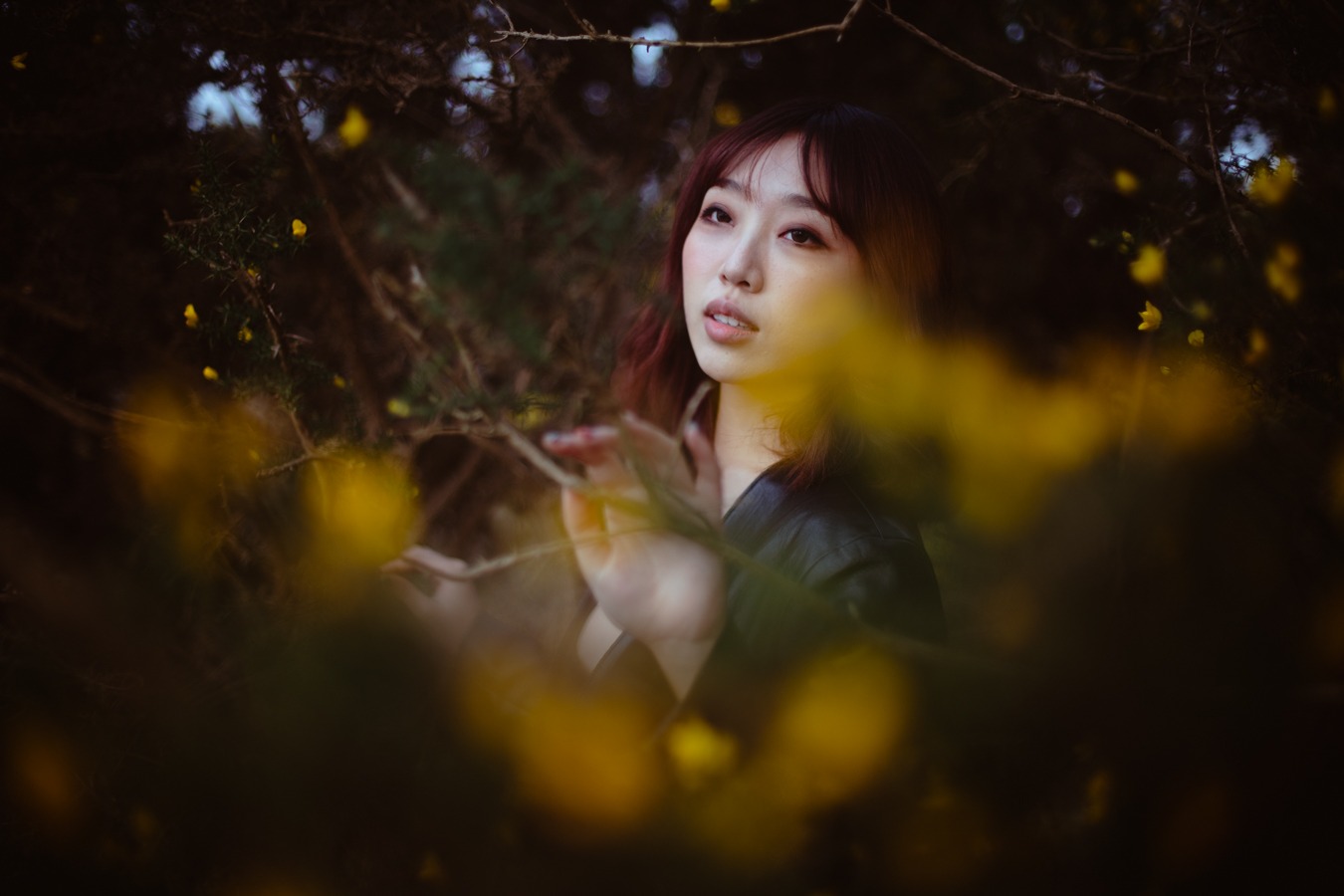 WINDSWEPT IN THE GORSE-4874-SMALL