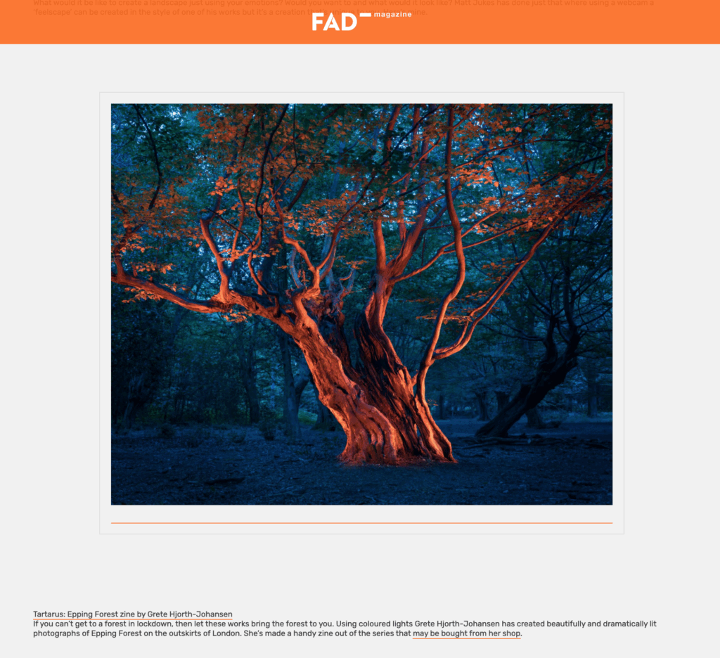 Fad Magazine - Tabish Khan